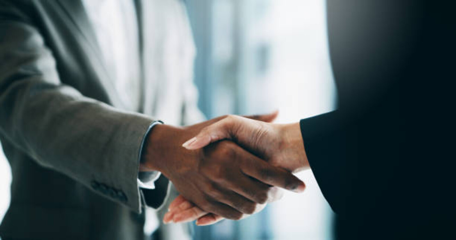 Business partnership between technology OEMs and Riddhi IT Solutions